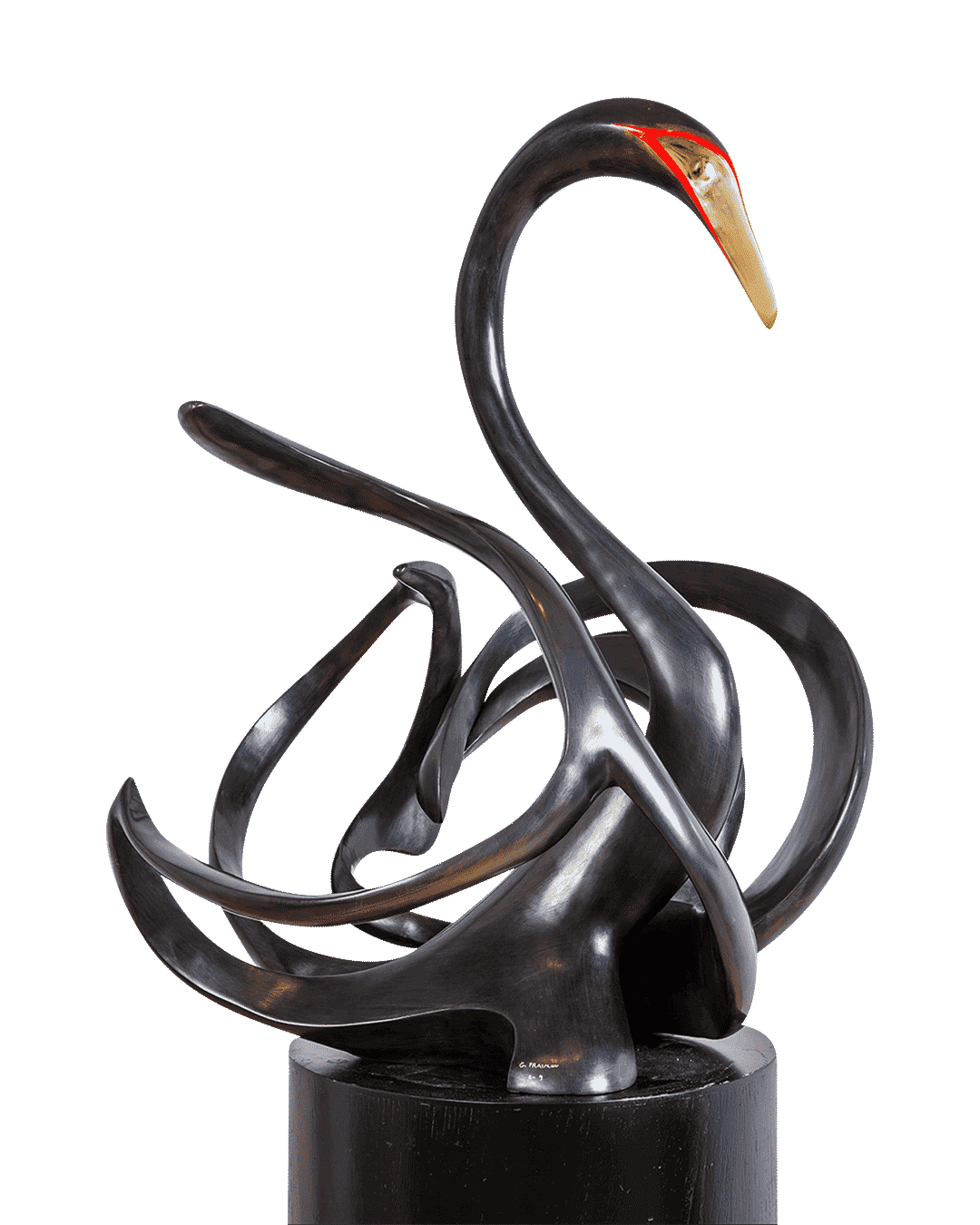 Black Swan (Female)